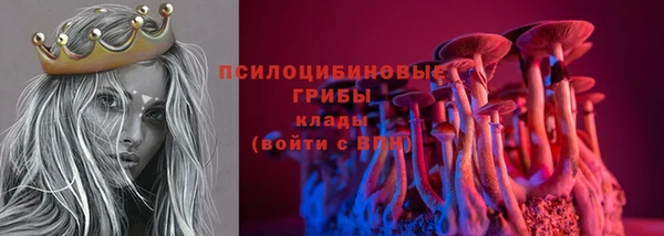 ГАЛЛЮЦИНОГЕННЫЕ ГРИБЫ Медвежьегорск