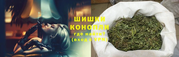 МДПВ Мегион