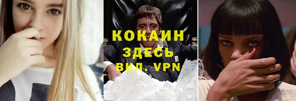 дмт Абаза