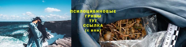 ГАЛЛЮЦИНОГЕННЫЕ ГРИБЫ Медвежьегорск