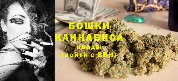 ГАЛЛЮЦИНОГЕННЫЕ ГРИБЫ Медвежьегорск