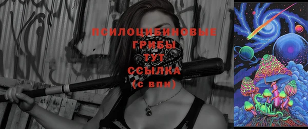 МДПВ Мегион