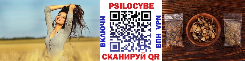 где купить наркотик  Шиханы  даркнет телеграм  Галлюциногенные грибы MAGIC MUSHROOMS 